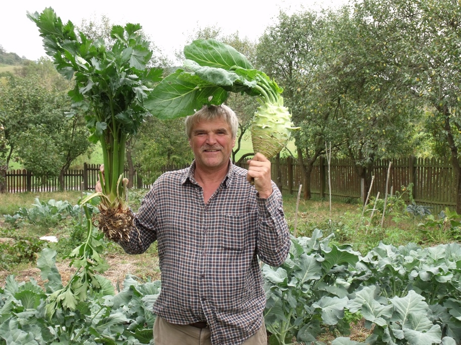 Mit csinálunk egy fenntartható kerttel télen, azaz mi az a talajtakarás?