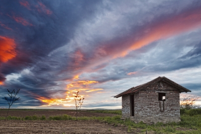 Egy hektáros öröklét