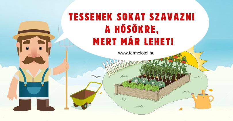 A "Veteményeskertek hősei" pályázat - Szavazzatok a hősökre! 