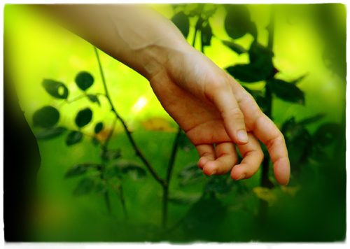 Hatékonyabb lehet az ökológiai kéznyom, mint a lábnyom